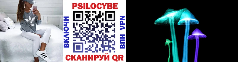 Псилоцибиновые грибы Psilocybe  МЕГА ТОР  Копейск  наркотики 
