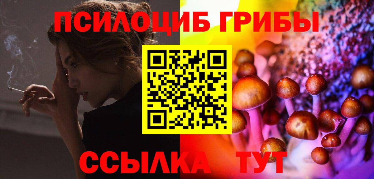 Галлюциногенные грибы Psilocybine cubensis  наркота  Копейск  Псилоцибиновые грибы мухоморы  Вход с VPN 