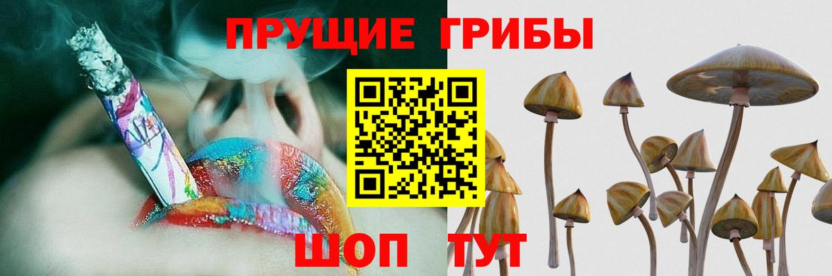 Псилоцибиновые грибы GOLDEN TEACHER Копейск